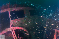 Cape Charles Wreck