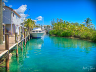 Stuart Cove's, Nassau, Bahamas
