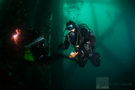 Divers harvesting scallops on Eureka oil rig