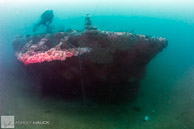 View of the prop guards on the stern section of the Hogan wreck