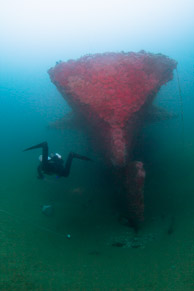 Stern section of the Hogan wreck